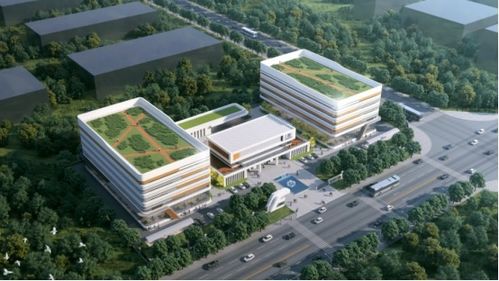 三十年專注，匠心鑄就生物科技新篇章——廣西博生生物抗體與功能蛋白的研發與應用服務